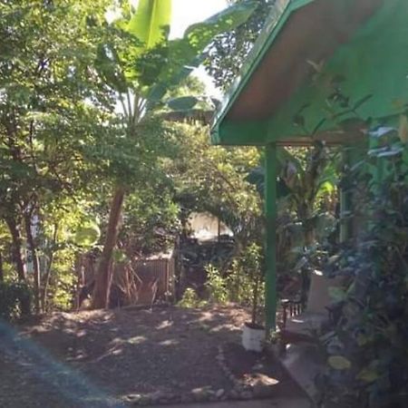 Casa Flor De Annia ~ Cozy 2 Bdrm On The River Sierpe ~ Walkable To Town Villa Eksteriør billede