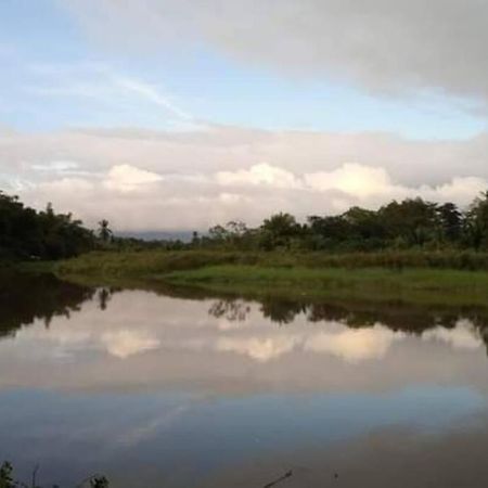 Casa Flor De Annia ~ Cozy 2 Bdrm On The River Sierpe ~ Walkable To Town Villa Eksteriør billede