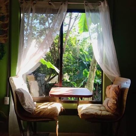 Casa Flor De Annia ~ Cozy 2 Bdrm On The River Sierpe ~ Walkable To Town Villa Eksteriør billede