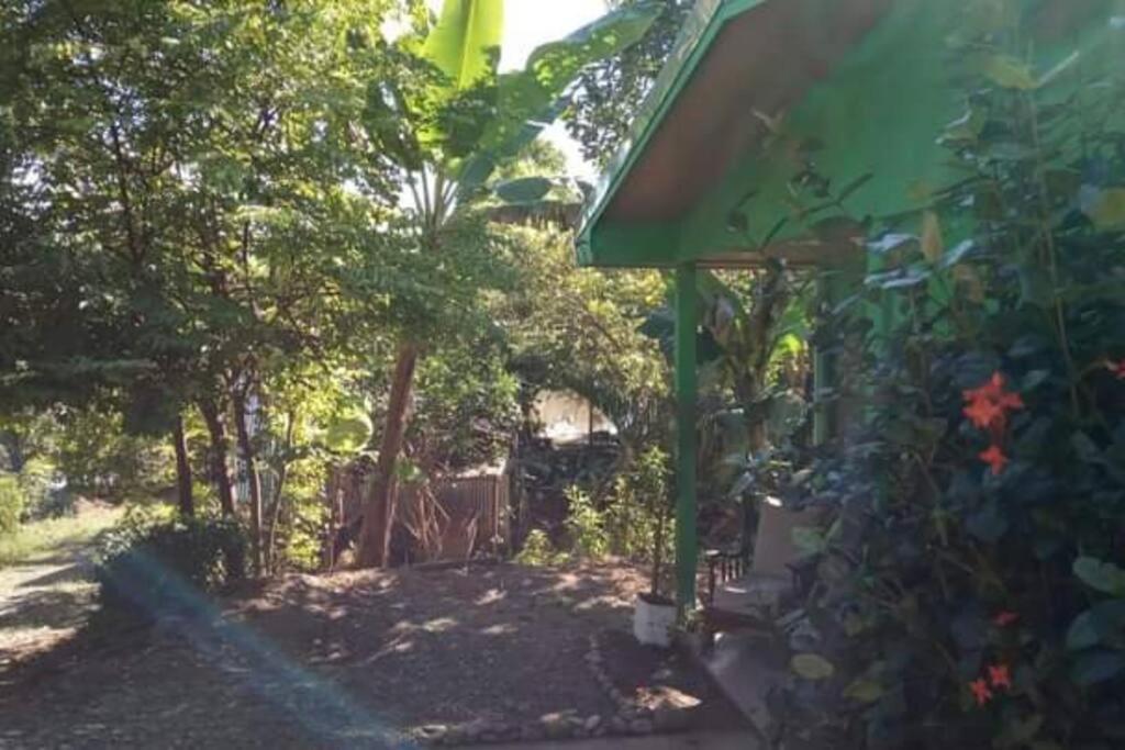 Casa Flor De Annia ~ Cozy 2 Bdrm On The River Sierpe ~ Walkable To Town Villa Eksteriør billede