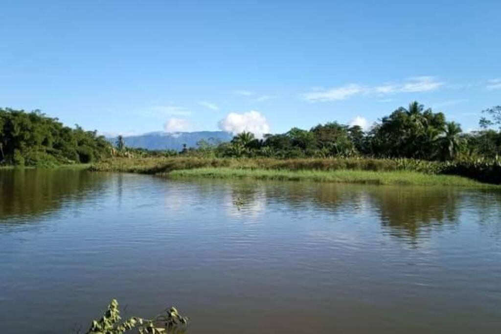 Casa Flor De Annia ~ Cozy 2 Bdrm On The River Sierpe ~ Walkable To Town Villa Eksteriør billede