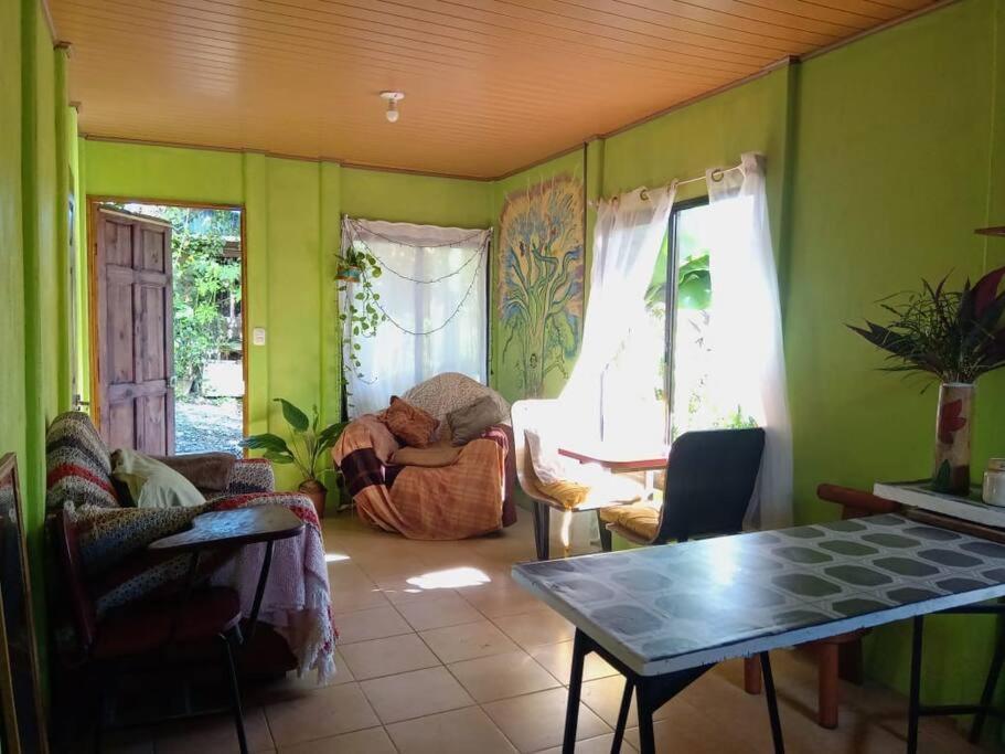 Casa Flor De Annia ~ Cozy 2 Bdrm On The River Sierpe ~ Walkable To Town Villa Eksteriør billede