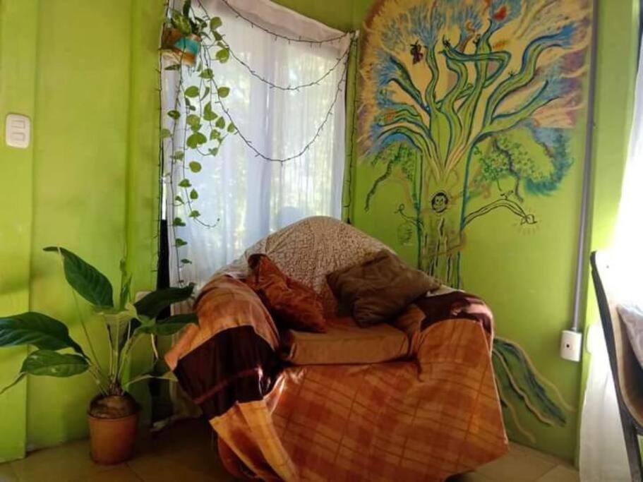 Casa Flor De Annia ~ Cozy 2 Bdrm On The River Sierpe ~ Walkable To Town Villa Eksteriør billede