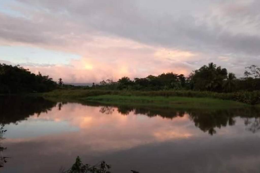 Casa Flor De Annia ~ Cozy 2 Bdrm On The River Sierpe ~ Walkable To Town Villa Eksteriør billede