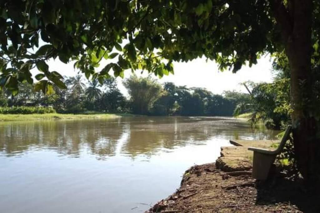 Casa Flor De Annia ~ Cozy 2 Bdrm On The River Sierpe ~ Walkable To Town Villa Eksteriør billede