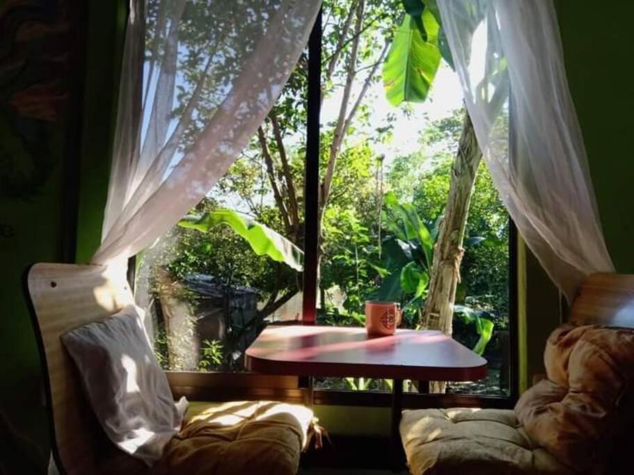 Casa Flor De Annia ~ Cozy 2 Bdrm On The River Sierpe ~ Walkable To Town Villa Eksteriør billede