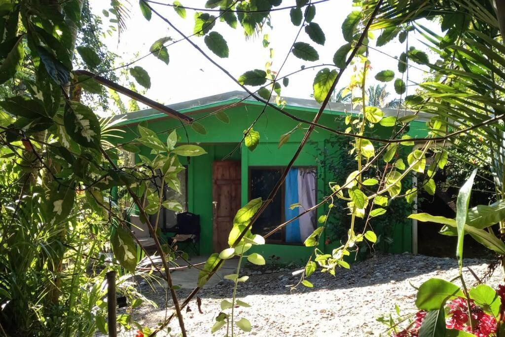 Casa Flor De Annia ~ Cozy 2 Bdrm On The River Sierpe ~ Walkable To Town Villa Eksteriør billede